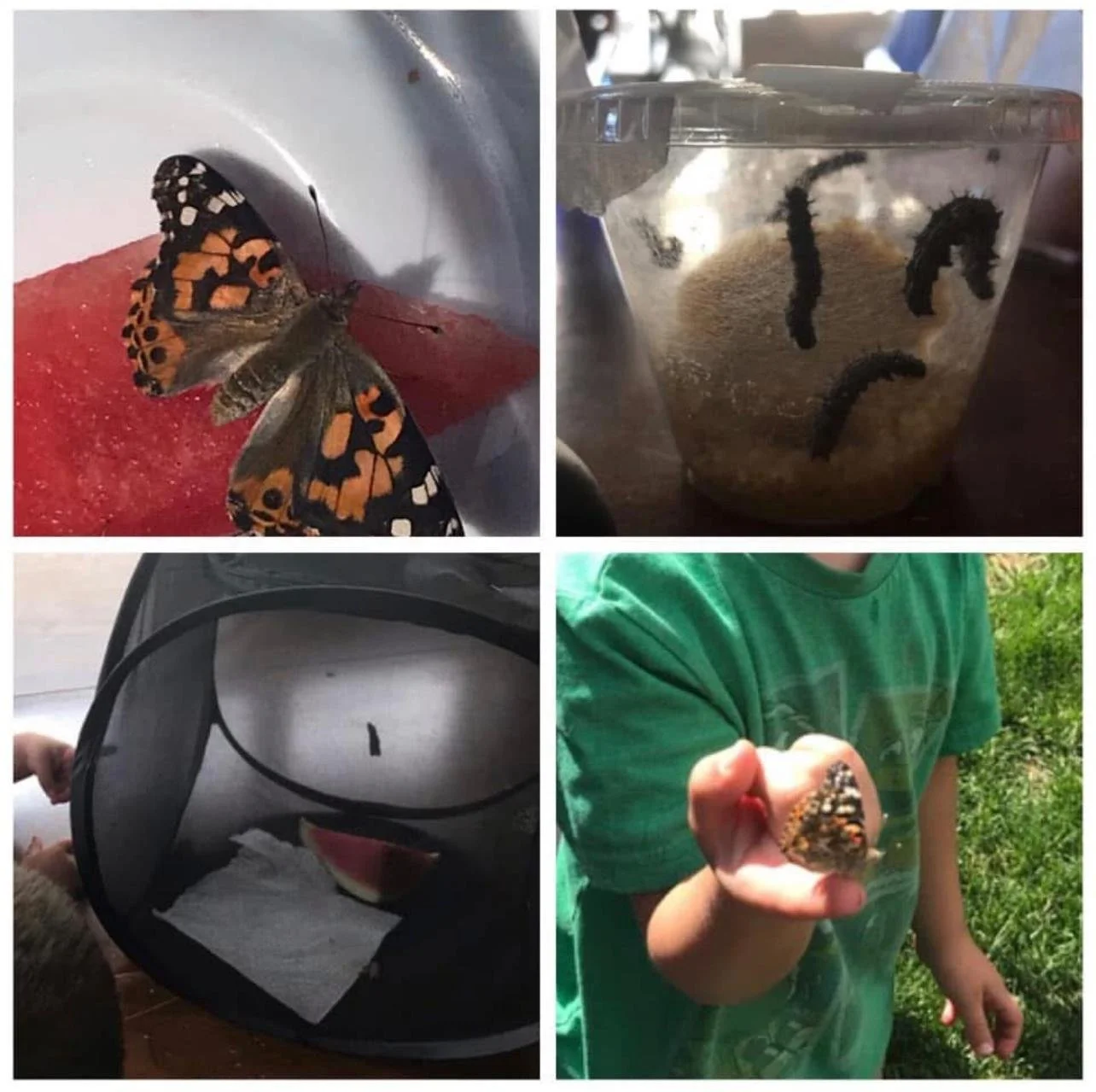 WhatsApp Image 2026-01-02 at 12.07.47 PM.jpeg