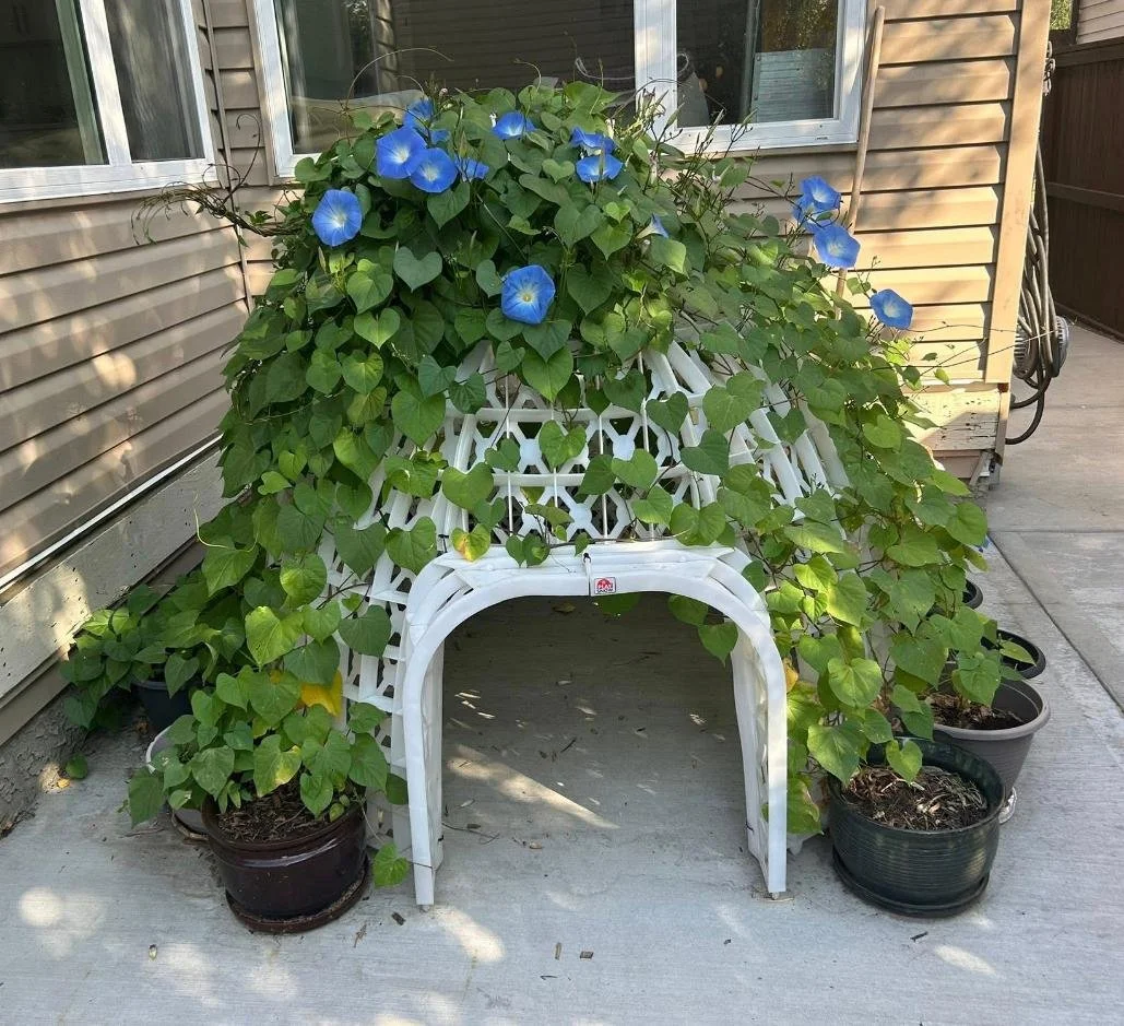 WhatsApp Image 2026-01-02 at 11.40.31 AM.jpeg