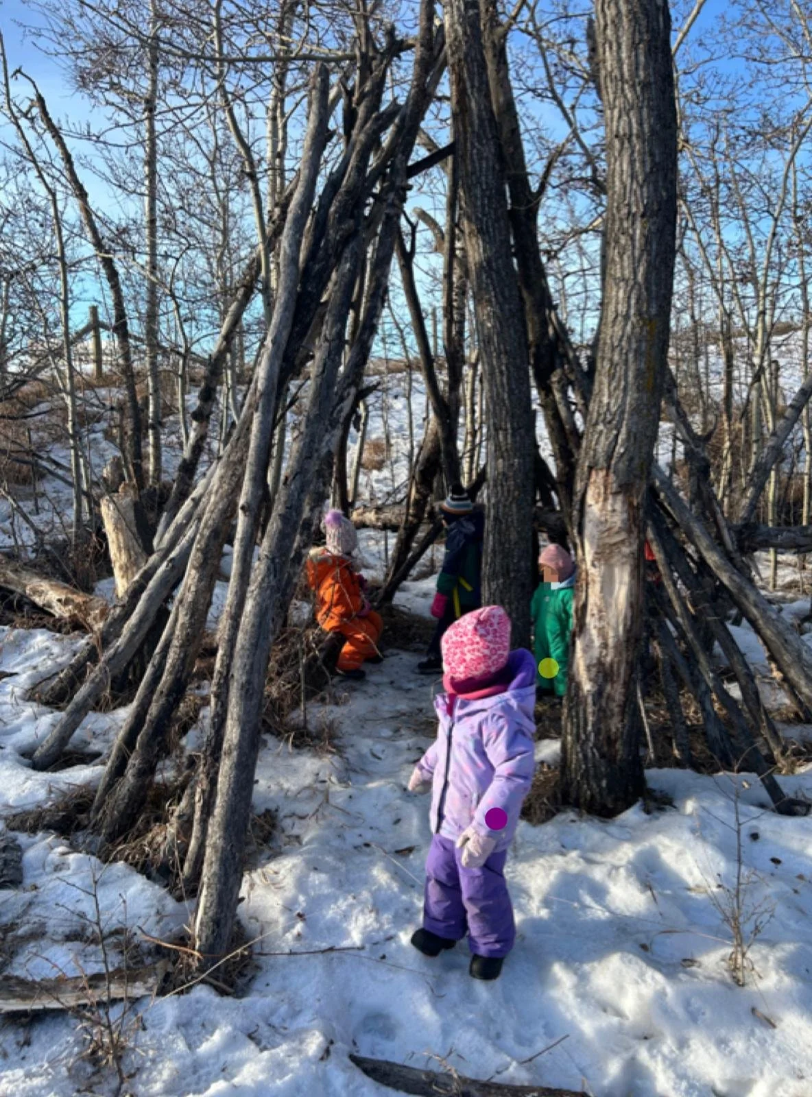 WhatsApp Image 2026-01-02 at 11.16.38 AM.jpeg