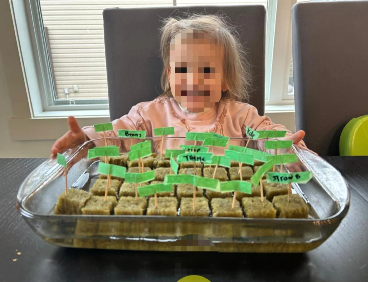 WhatsApp Image 2026-01-02 at 5.06.16 PM.jpeg