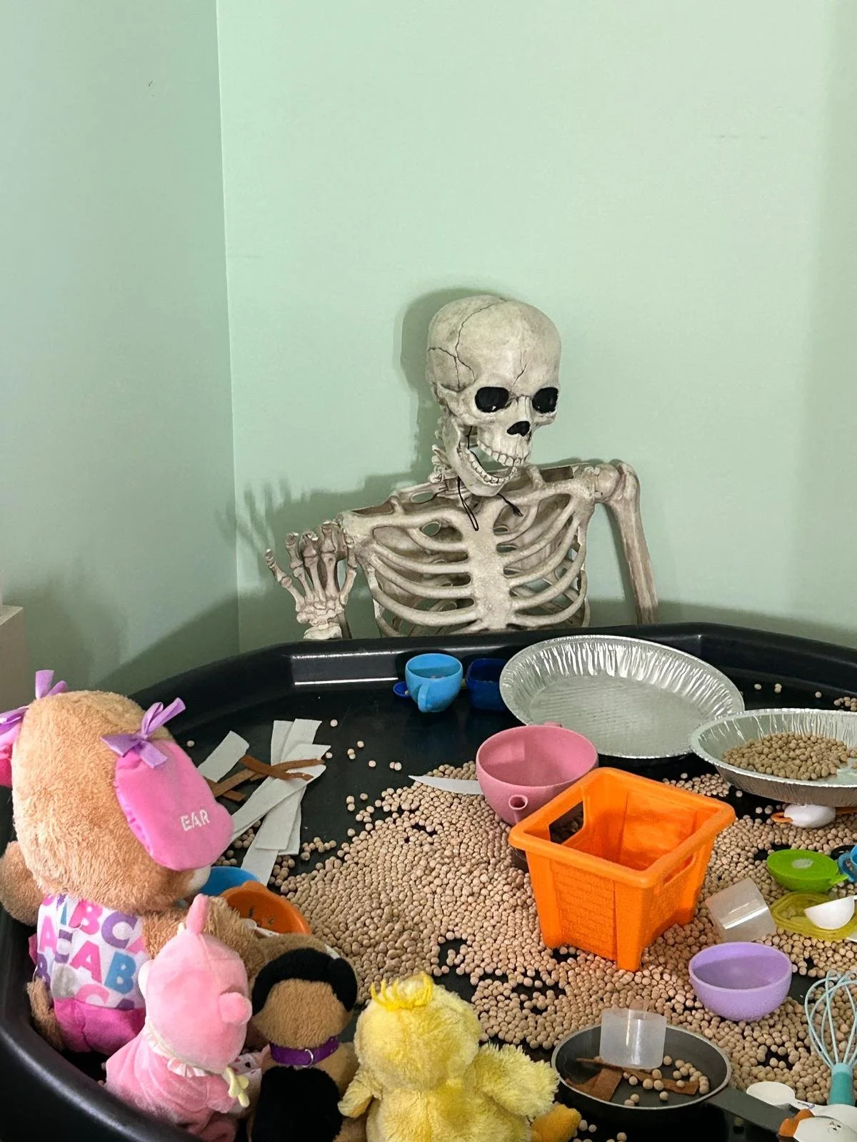 WhatsApp Image 2026-01-02 at 4.32.05 PM.jpeg