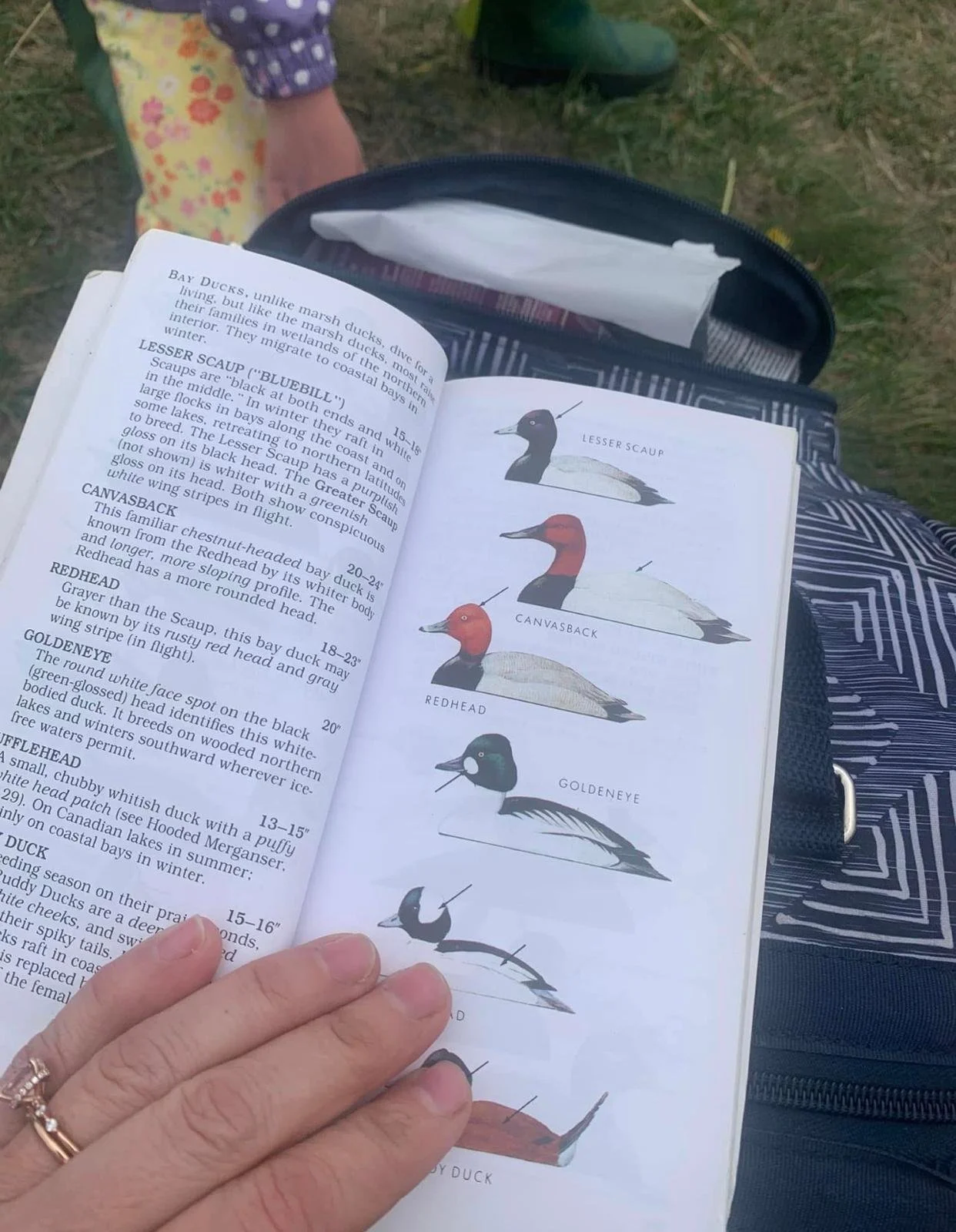 WhatsApp Image 2026-01-02 at 11.54.42 AM.jpeg