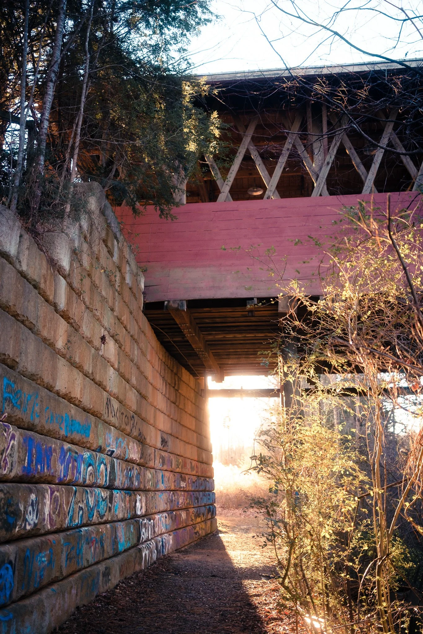 Underpass with graffiti on brick wall, sunlight shining through the opening, surrounded by trees and bushes.