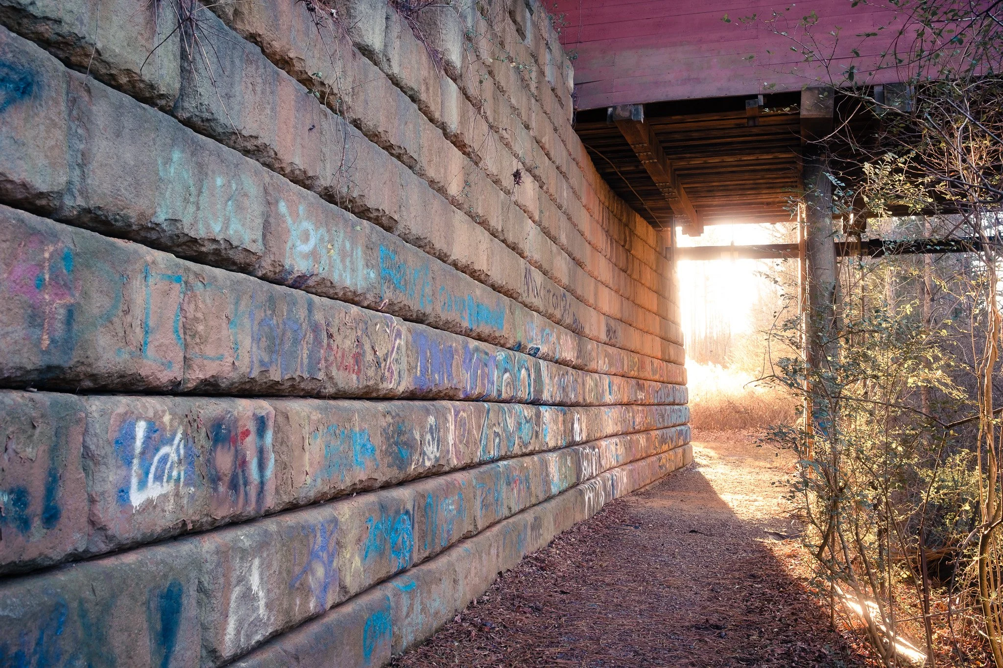 A brick wall with graffiti on the left side of the image, with sunlight shining through an opening in a nearby bridge or overpass, illuminating a dirt path and some vegetation on the right side.