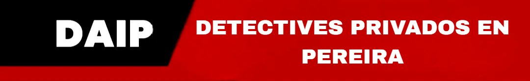 DETECTIVES PRIVADOS DAIP