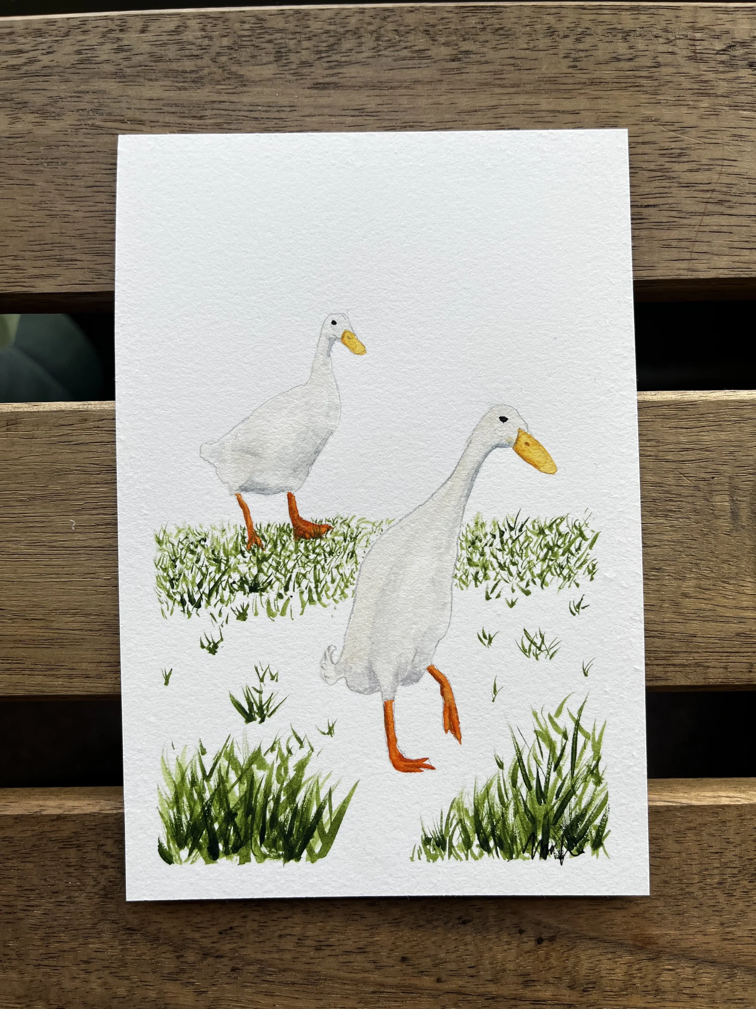 runner duck.jpg