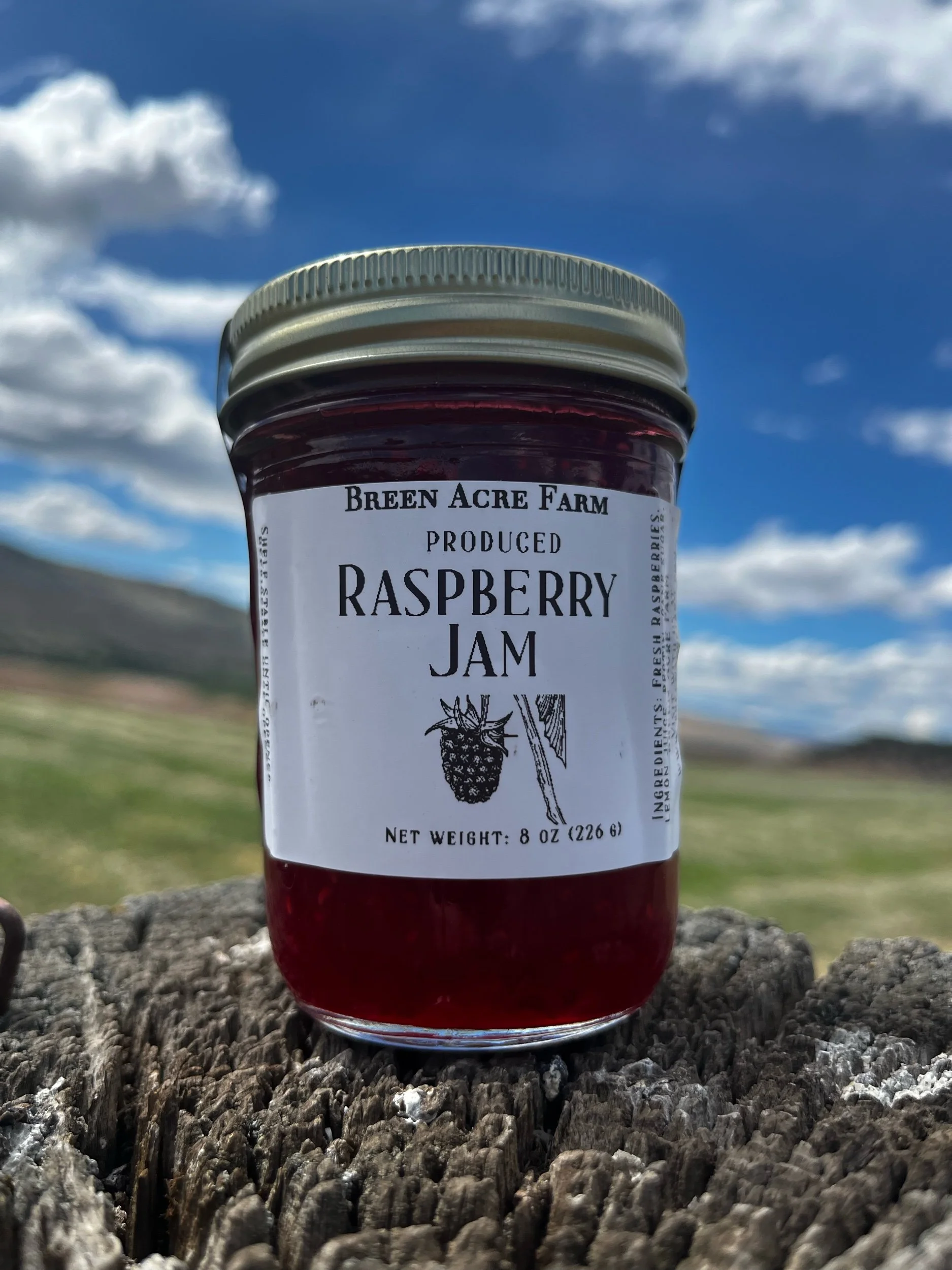 Raspberry jam