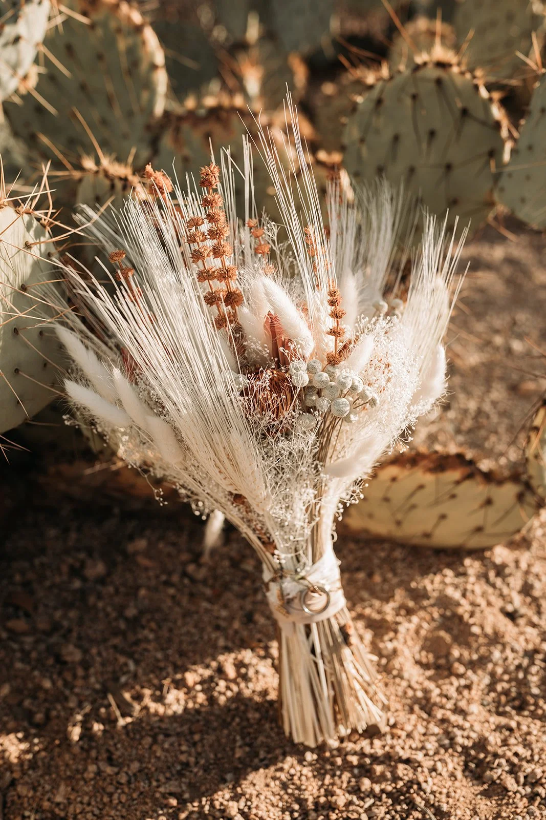 Saguaro National Park Arizona AZ Elopement-7726.jpg
