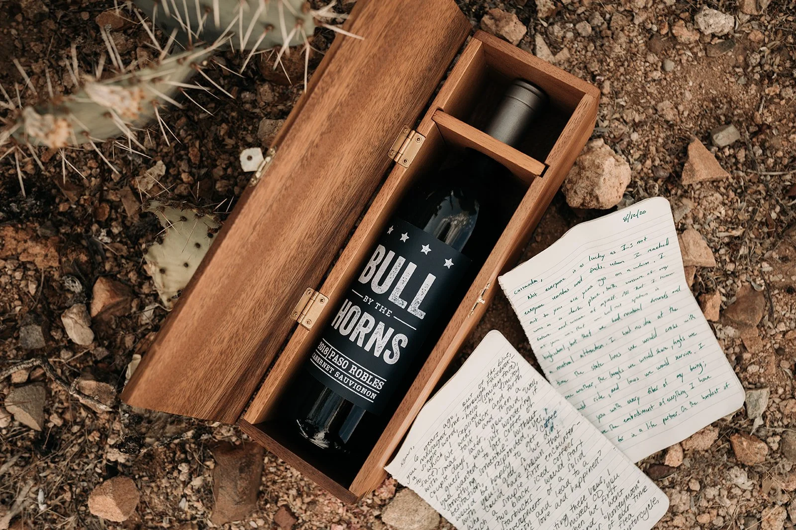 Saguaro National Park Arizona AZ Elopement-7917.jpg