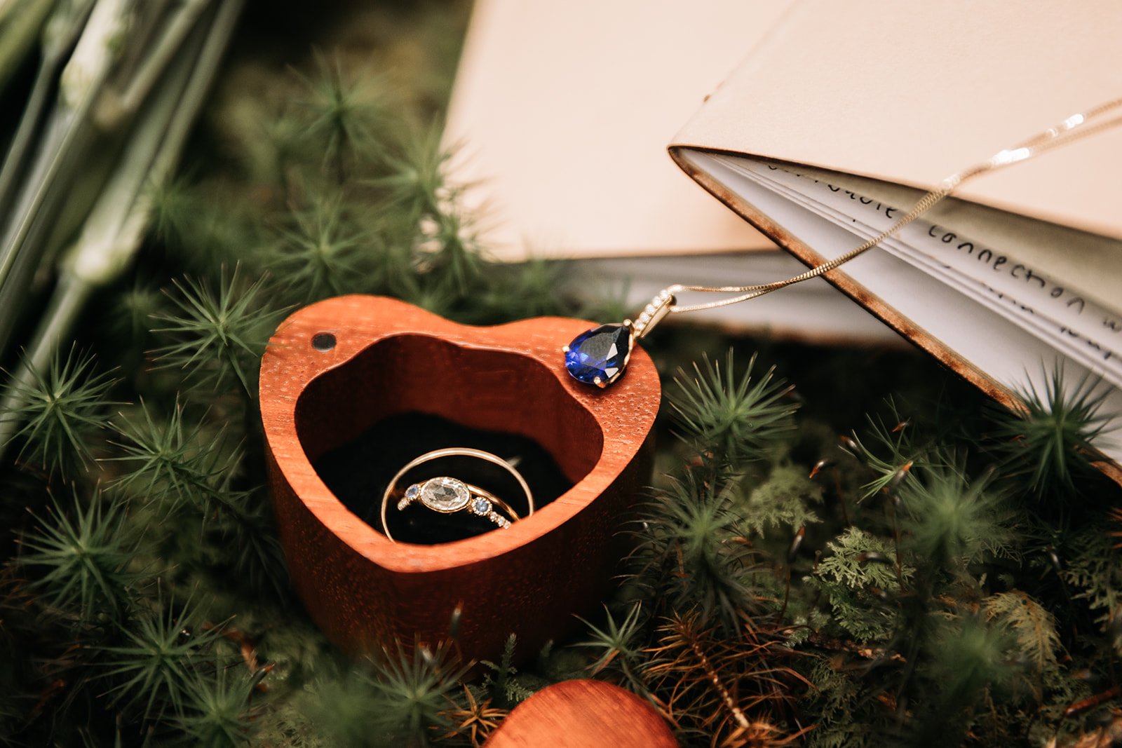 Foggy Blue Ridge Parkway Elopement-9322.jpg