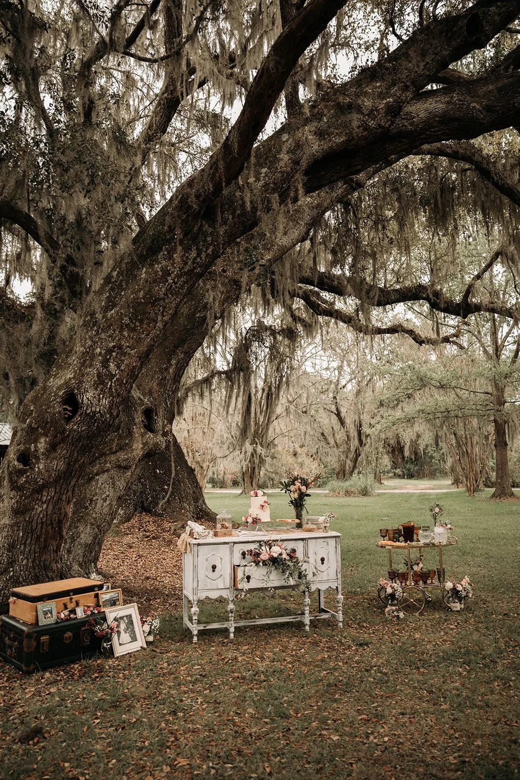 Charleston Magnolia Plantation and Gardens Intimate Wedding-3713.jpg