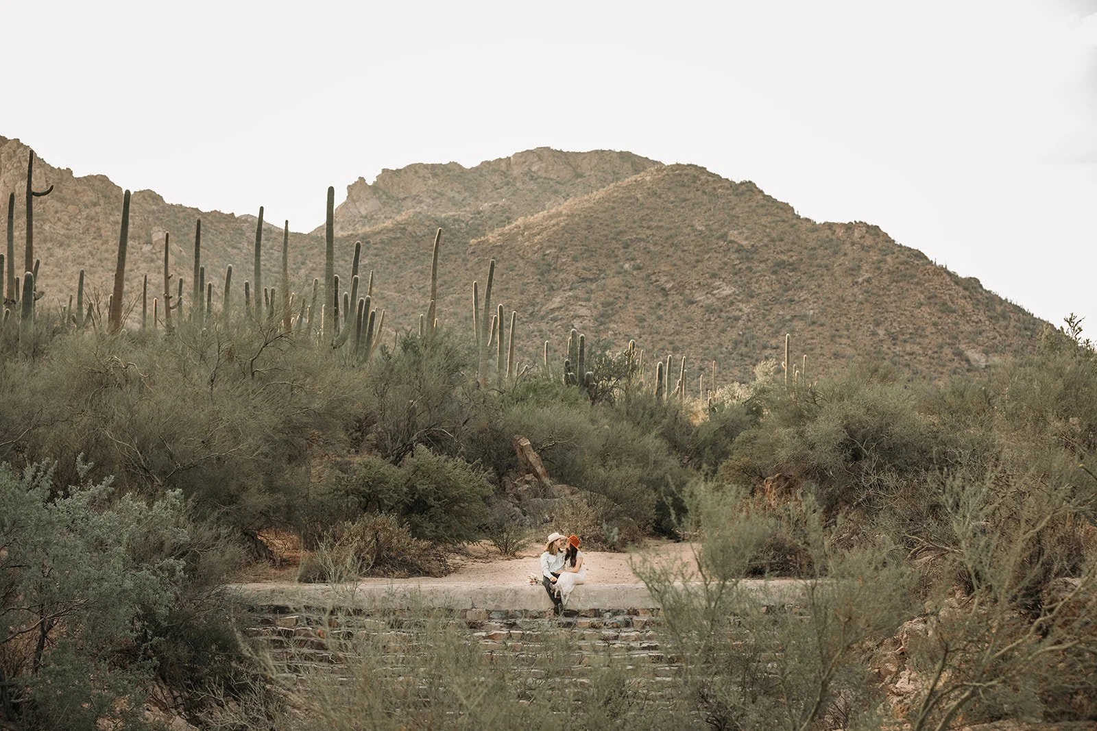 Saguaro National Park Arizona AZ Elopement-5661.jpg
