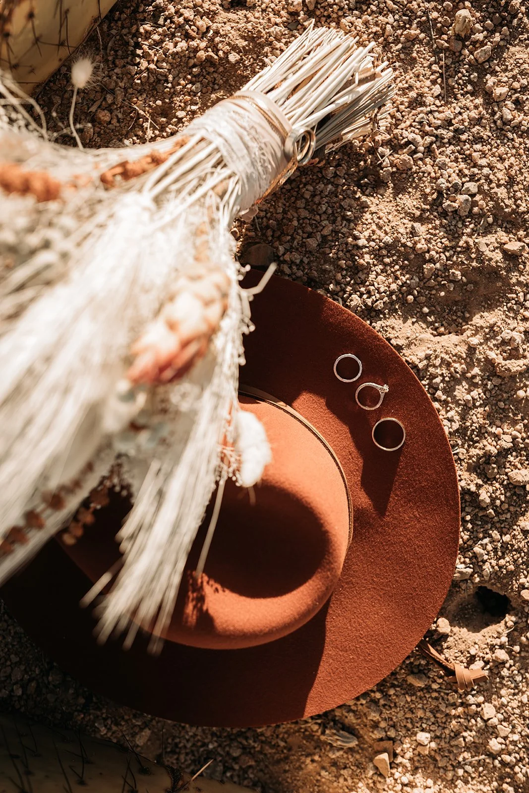 Saguaro National Park Arizona AZ Elopement-7720.jpg