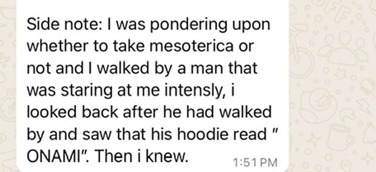 Mesoterica Jun Reviews_5627.JPG