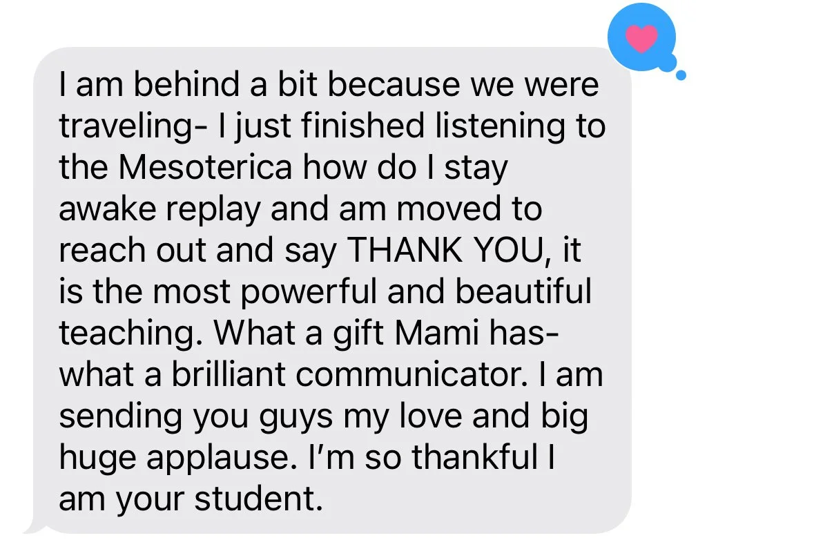 Mesoterica Jun Reviews_5833.JPG