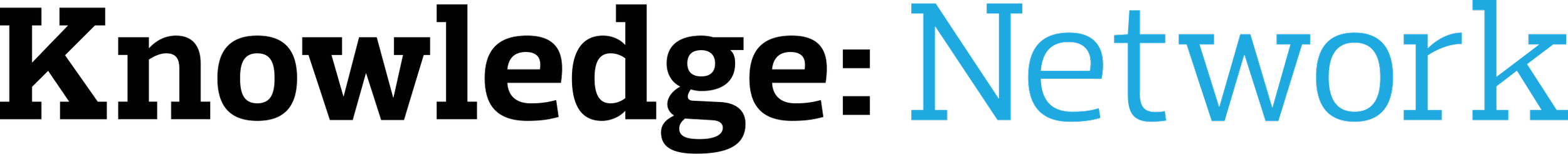 Lowes logo with the word 'Network' written in large blue letters.