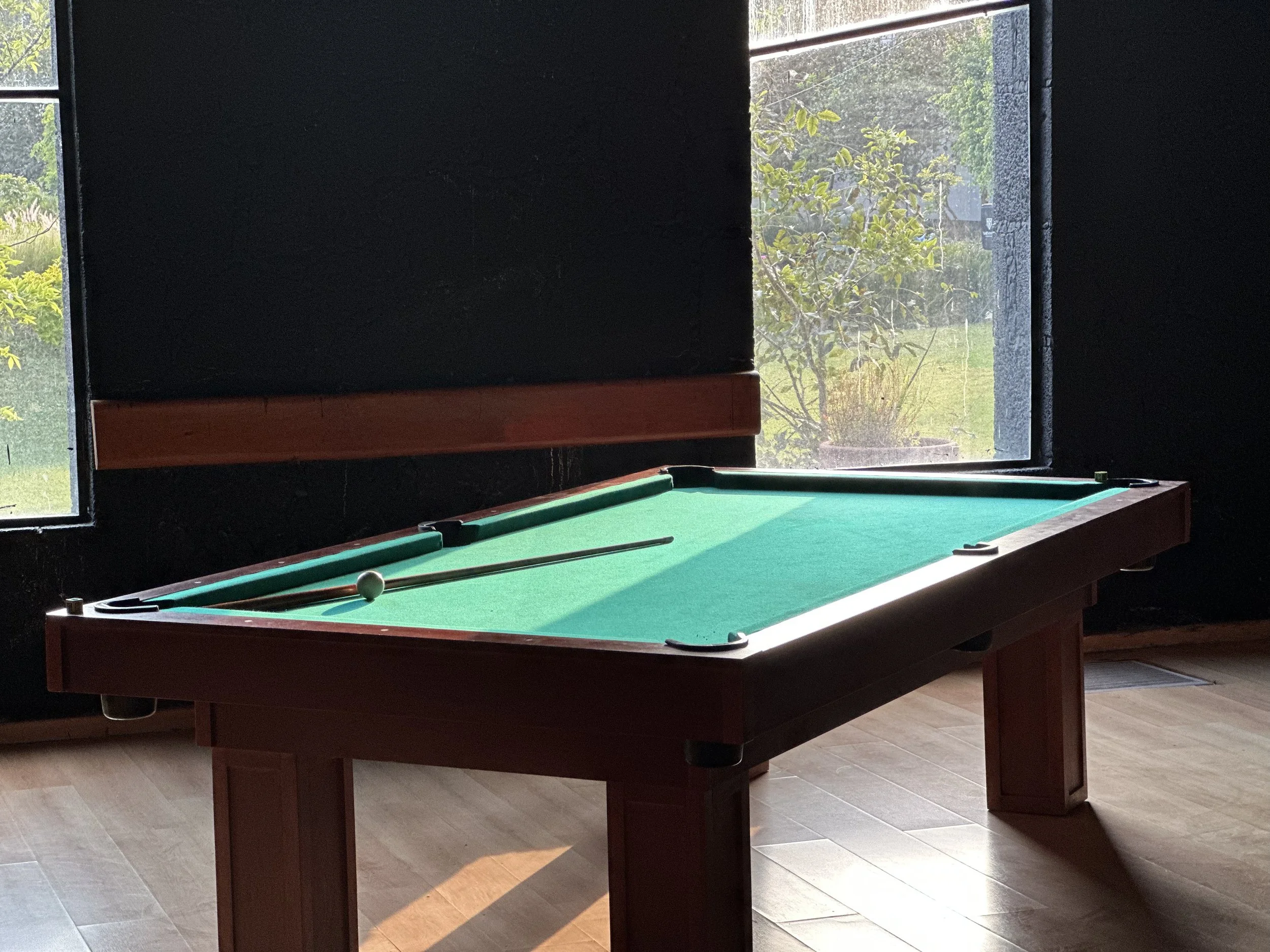 Una mesa de billar con una bola blanca y un taco, situada en una habitación con ventanas que muestran un espacio verde exterior.