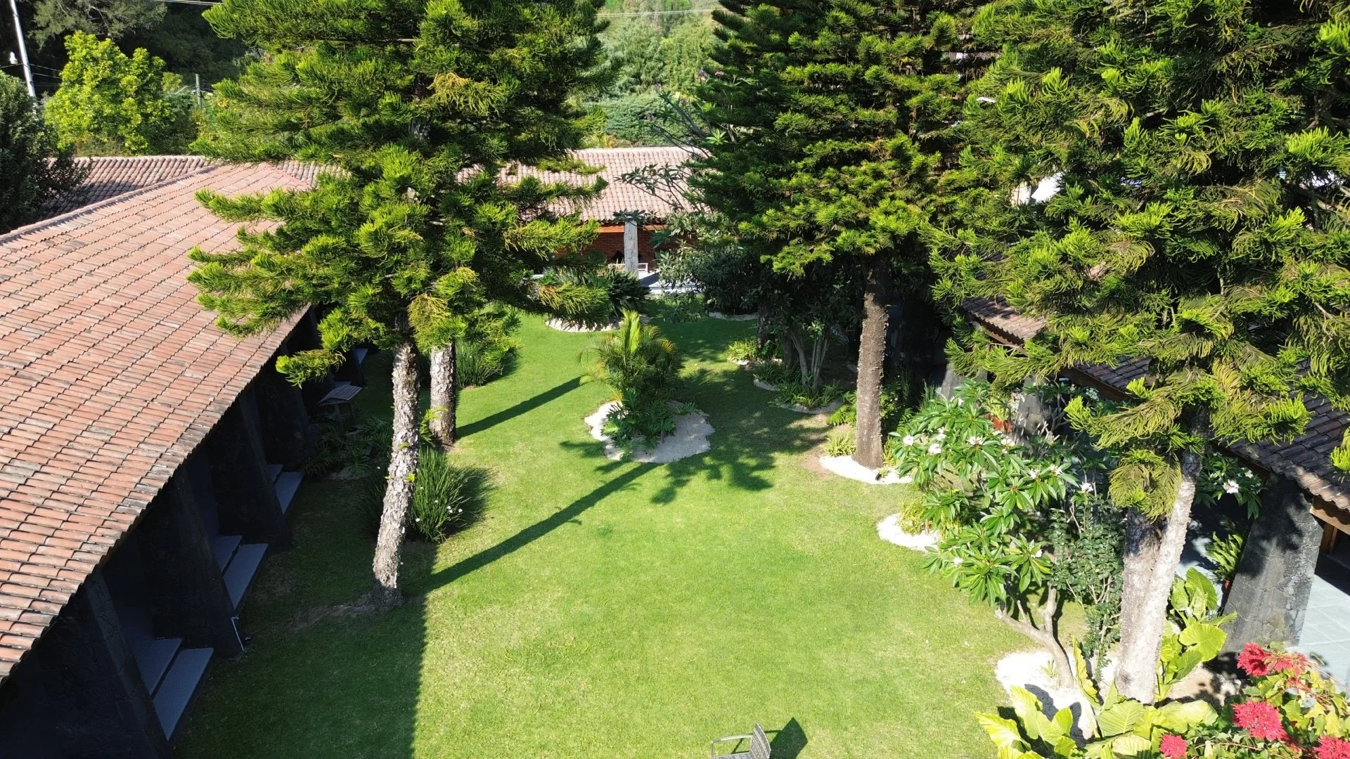 Vista aérea de un patio con césped, árboles y plantas ornamentales, rodeado por casas con techos de teja roja.