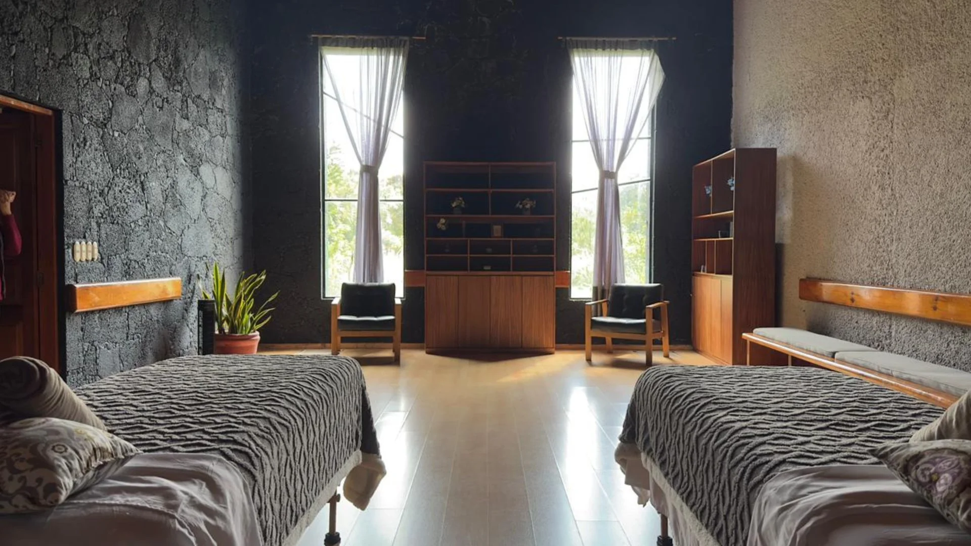 Habitación con dos camas con edredones de patrones de animales, una planta en una maceta y muebles de madera, con dos ventanas con cortinas blancas que dejan pasar luz natural.