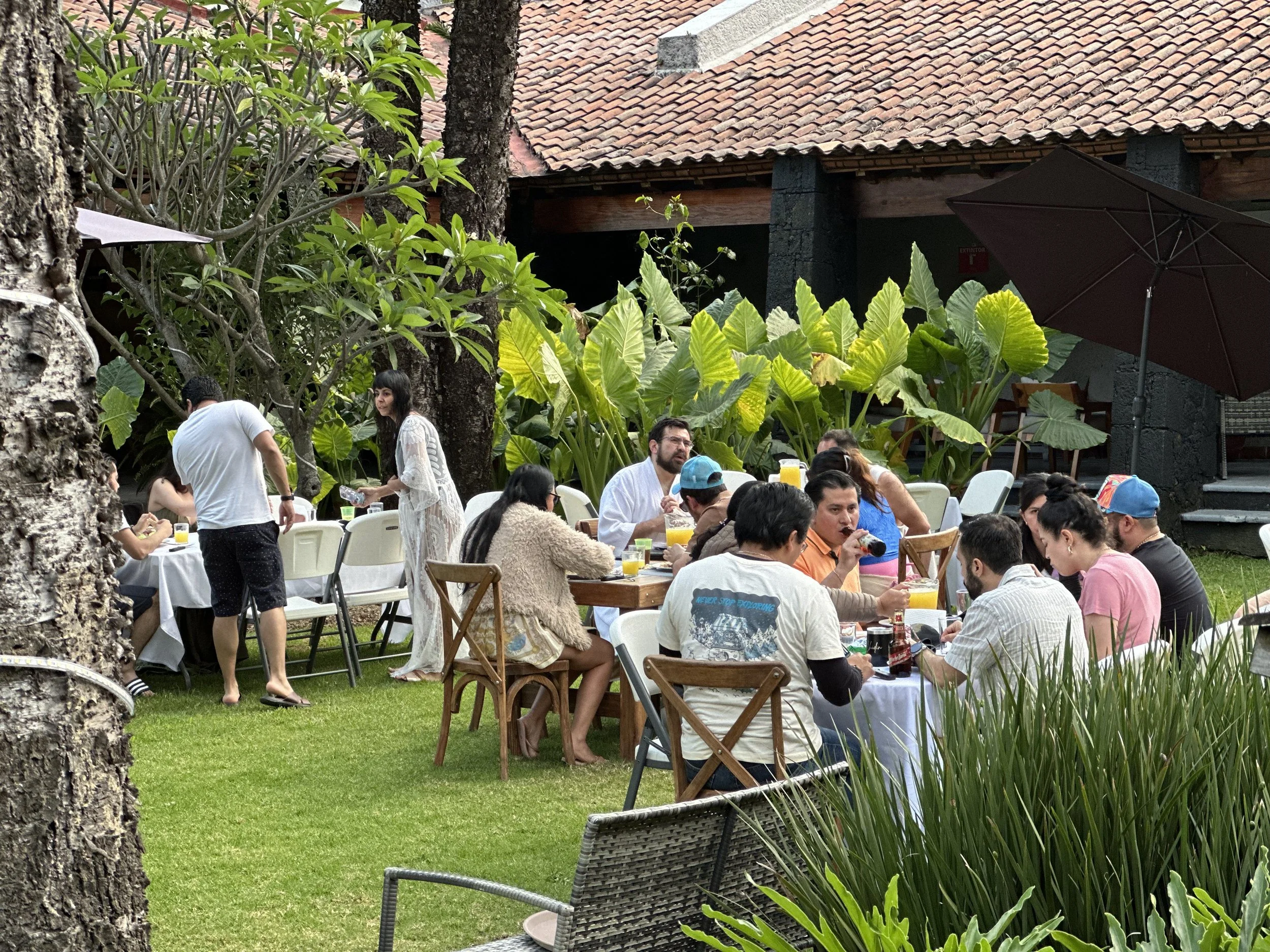 Grupo de personas disfrutando de una comida al aire libre en un jardín con mucha vegetación y árboles, en un día soleado.