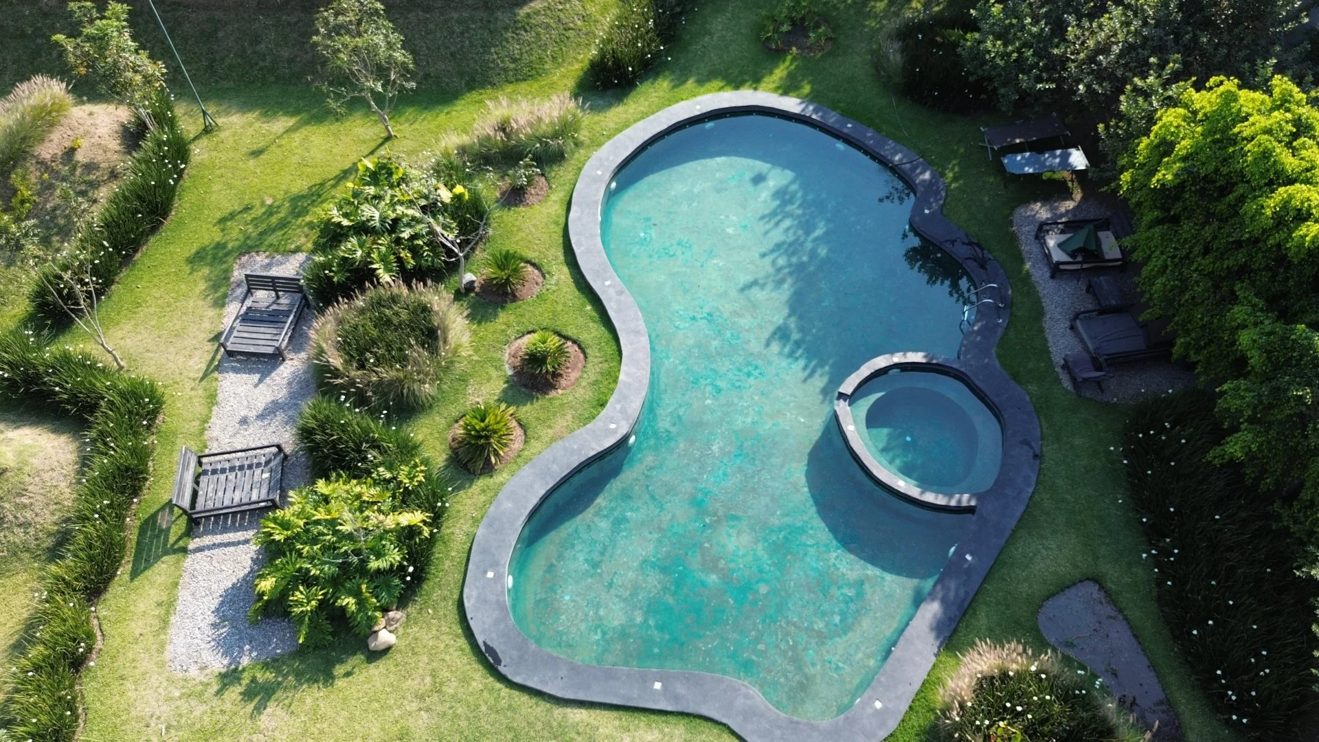 Vista aérea de una piscina de forma irregular rodeada de césped y plantas, con áreas de descanso y sombra en un jardín.