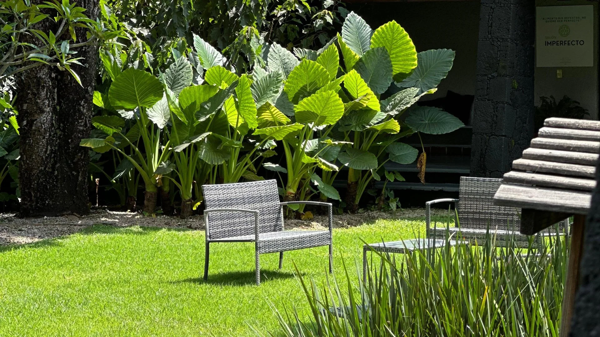 Jardín con hierba verde, dos sillas de mimbre, árboles grandes y plantas frondosas