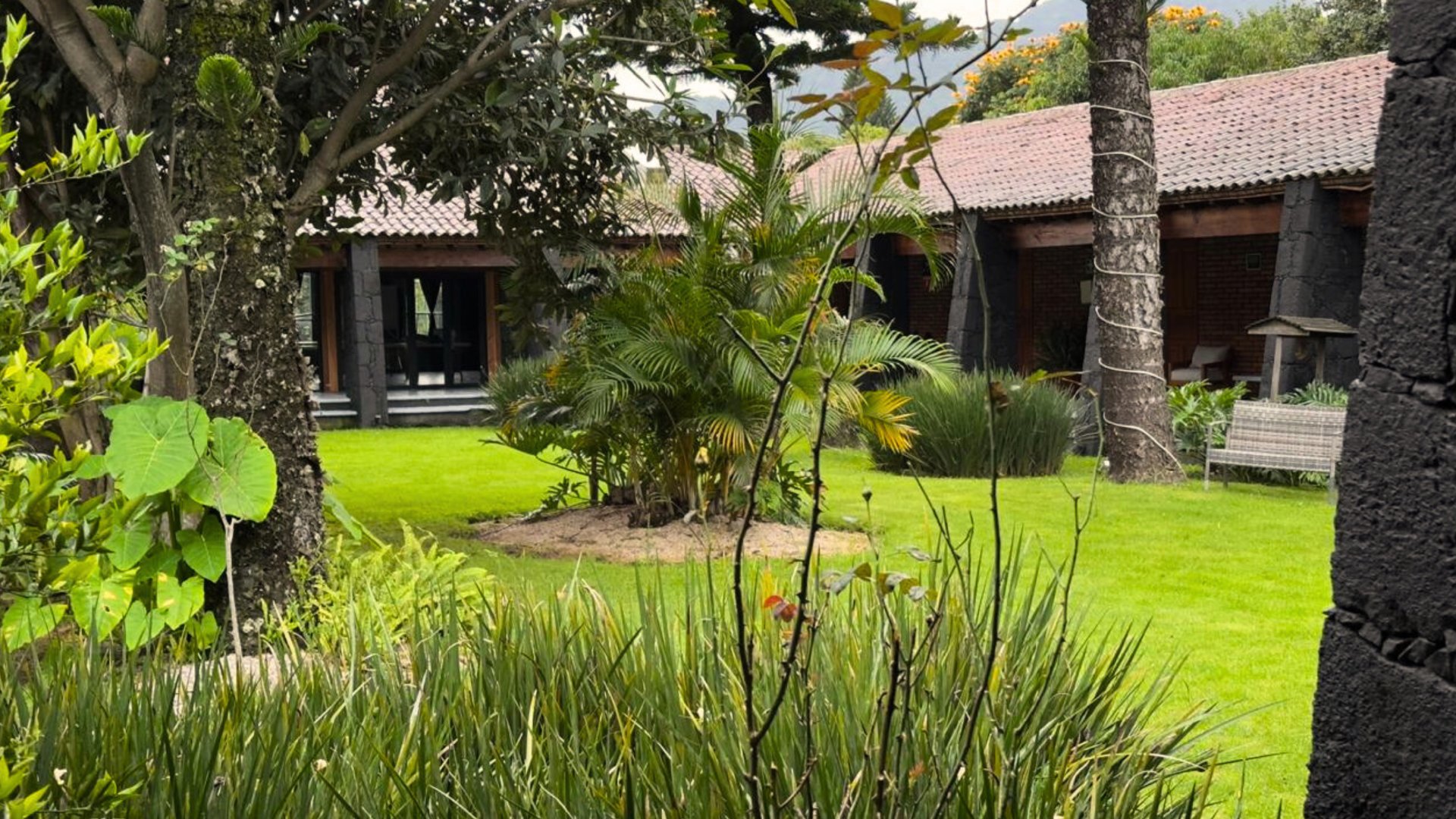 Jardín con césped y plantas tropicales, vistas a una casa con paredes de piedra y techo de tejas, rodeada de árboles y vegetación