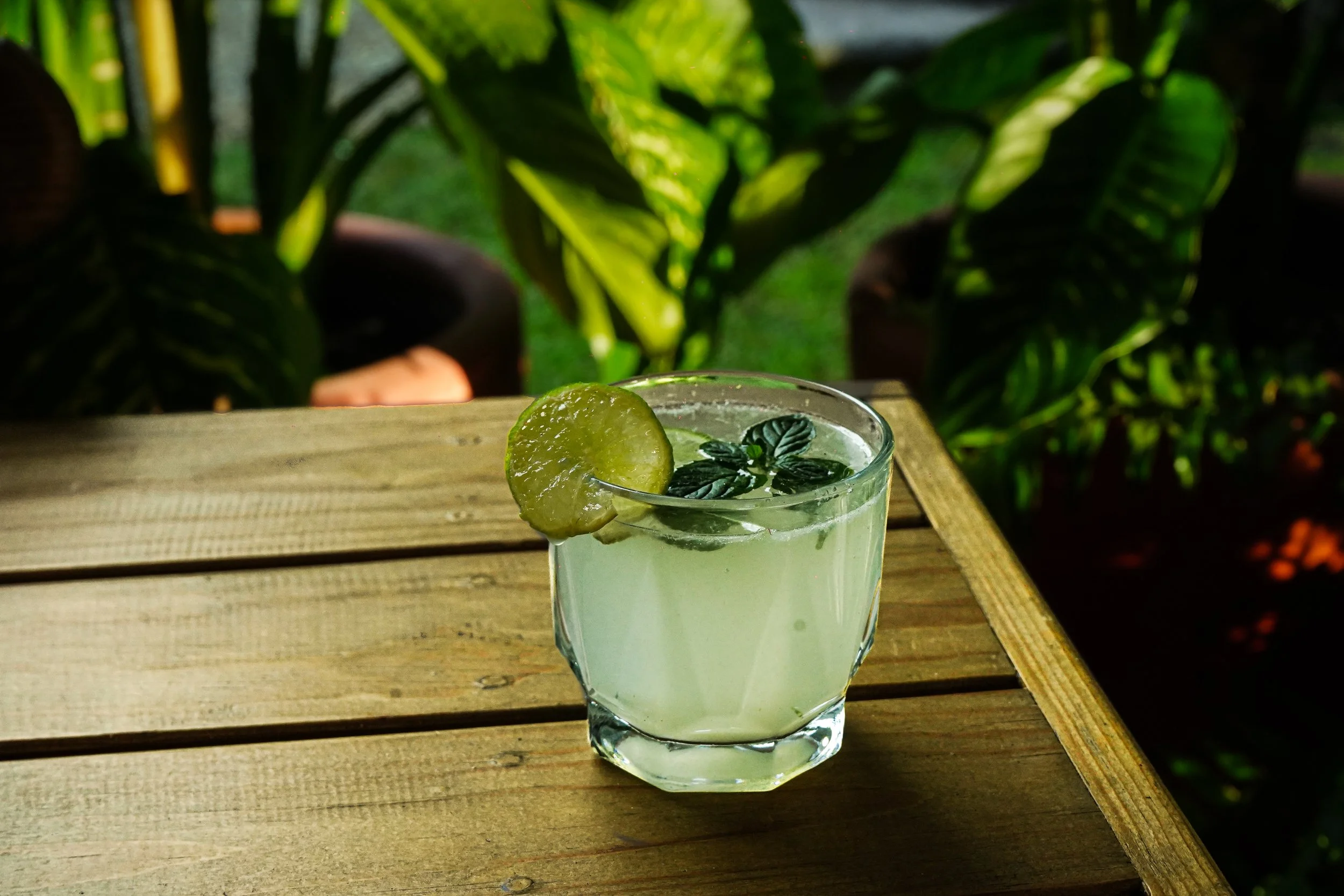 Vaso con una bebida verde, decorada con un rodaja de limón y hojas de menta en una mesa de madera, con plantas verdes de fondo.