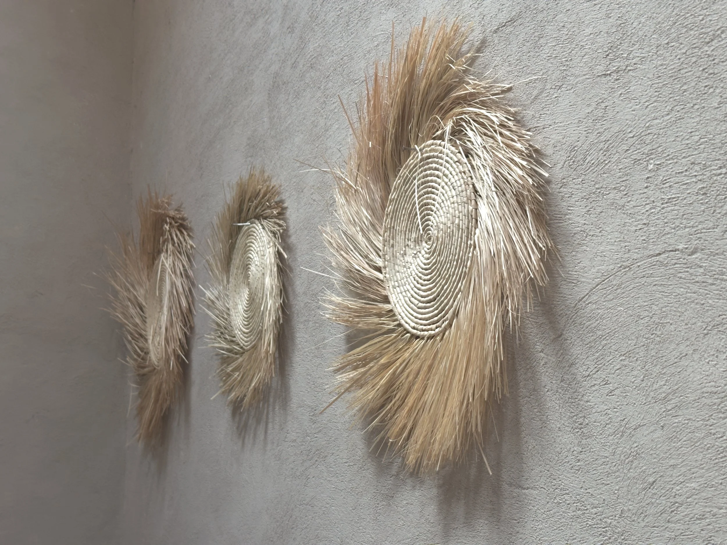 Decoraciones en forma de corazones hechos con la corteza de un árbol y ramas secas, colgados en una pared beige.