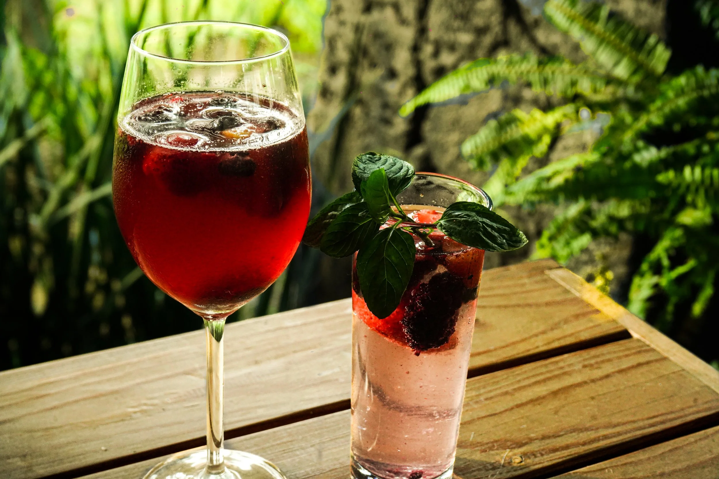 Dos bebidas en vasos, una con jarra grande con una bebida roja con hielo y otra en vaso alto con limón y hojas de hierbabuena, en una mesa de madera con fondo de plantas verdes.
