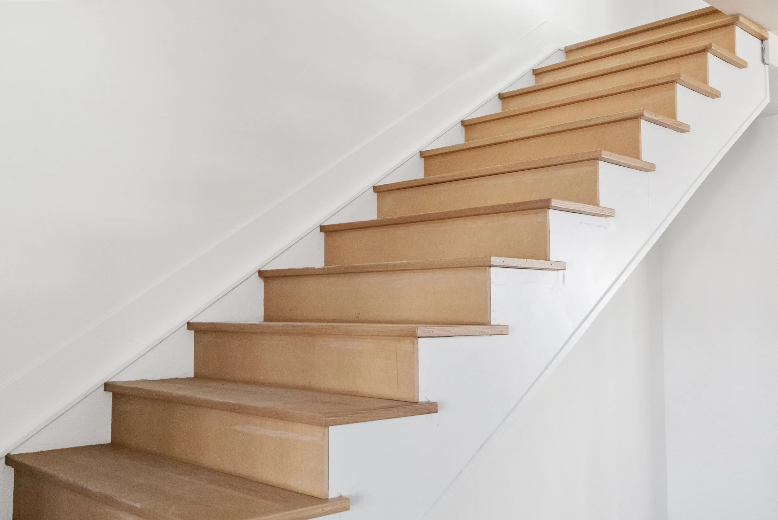 6-print-2.23.26 05.jpg