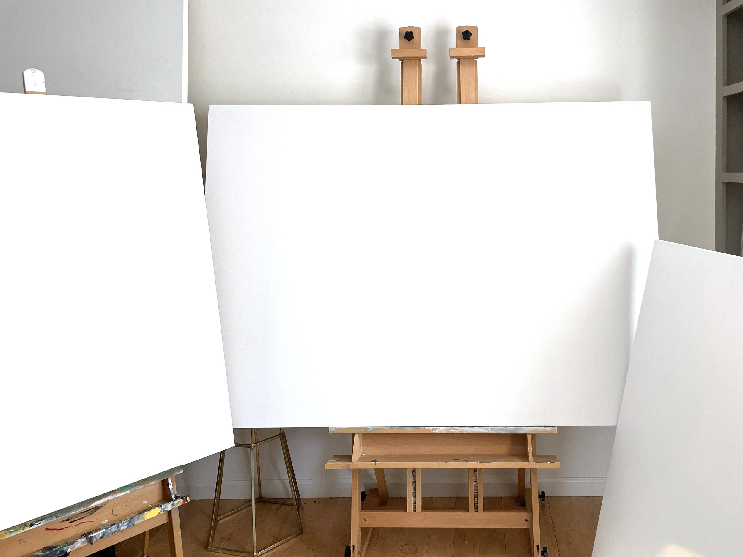 Premium Blank Canvas - Custom Sizes