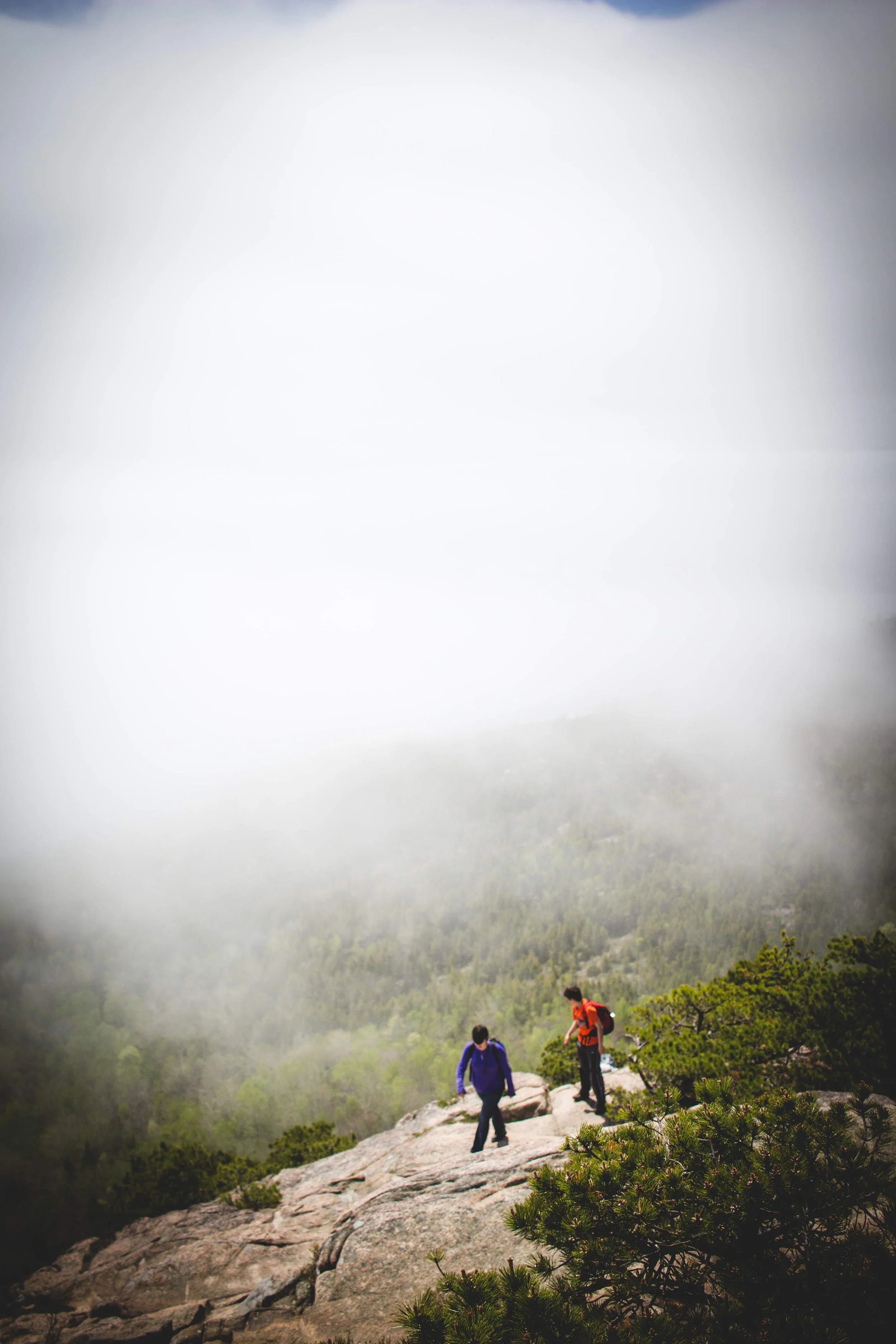 acadia-105_27527083725_o.jpg