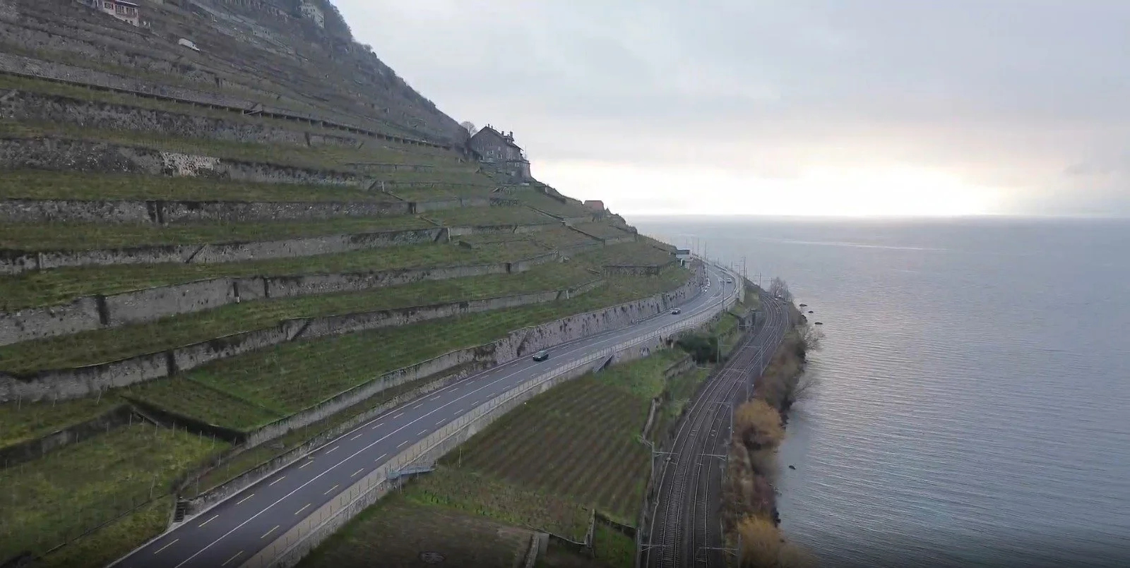 Harvest 2026 - Lavaux