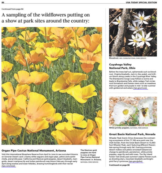 Screen Shot 2023-06-16 at 9.50.15 AM.png