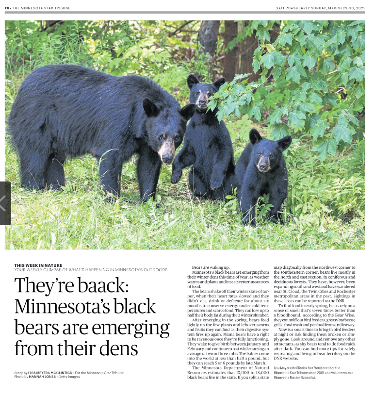 Screenshot 2025-04-01 at 11.13.11 AM.png