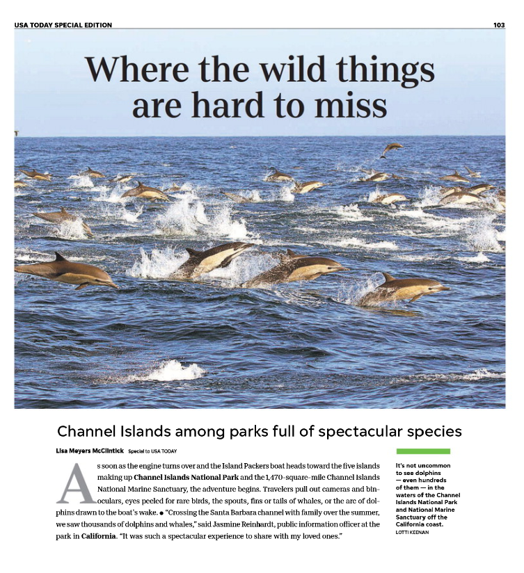 Screen Shot 2023-06-22 at 3.23.56 PM.png