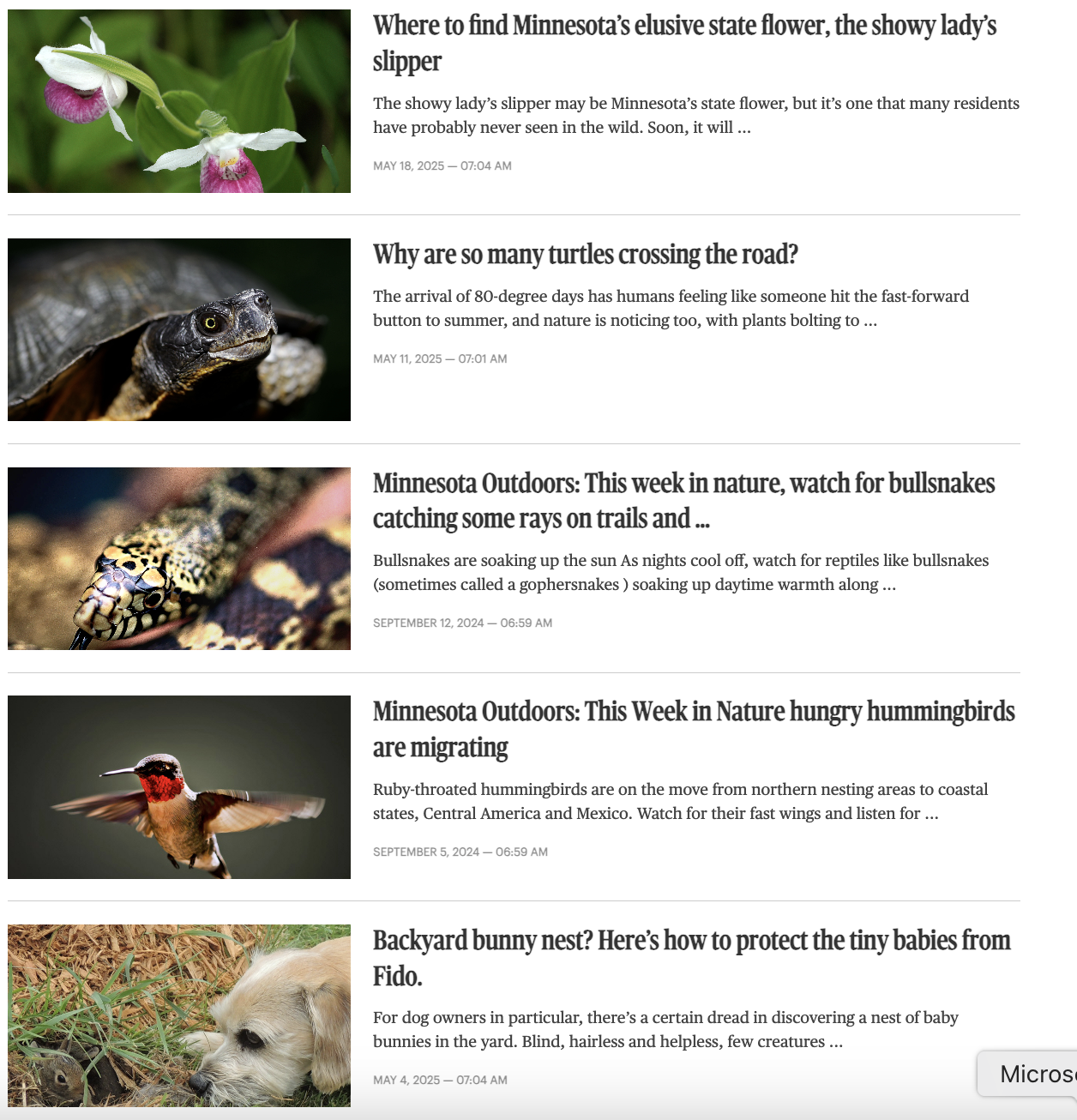 Screenshot 2025-05-22 at 7.32.13 PM.png