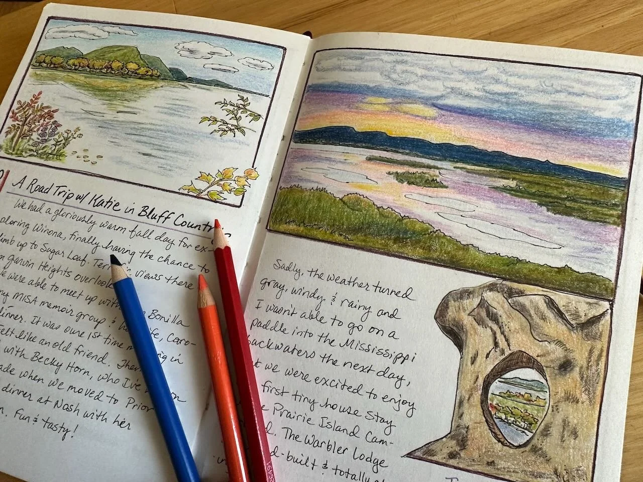 I am passionate about illustrated nature journals. Follow my Instagram account @minnelisa for updates on upcoming classes.
