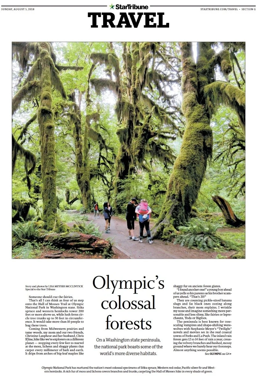 Olympic's Collasal Forests.jpeg