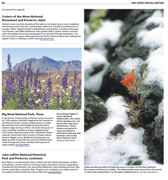 Screen Shot 2023-06-16 at 9.50.27 AM.png