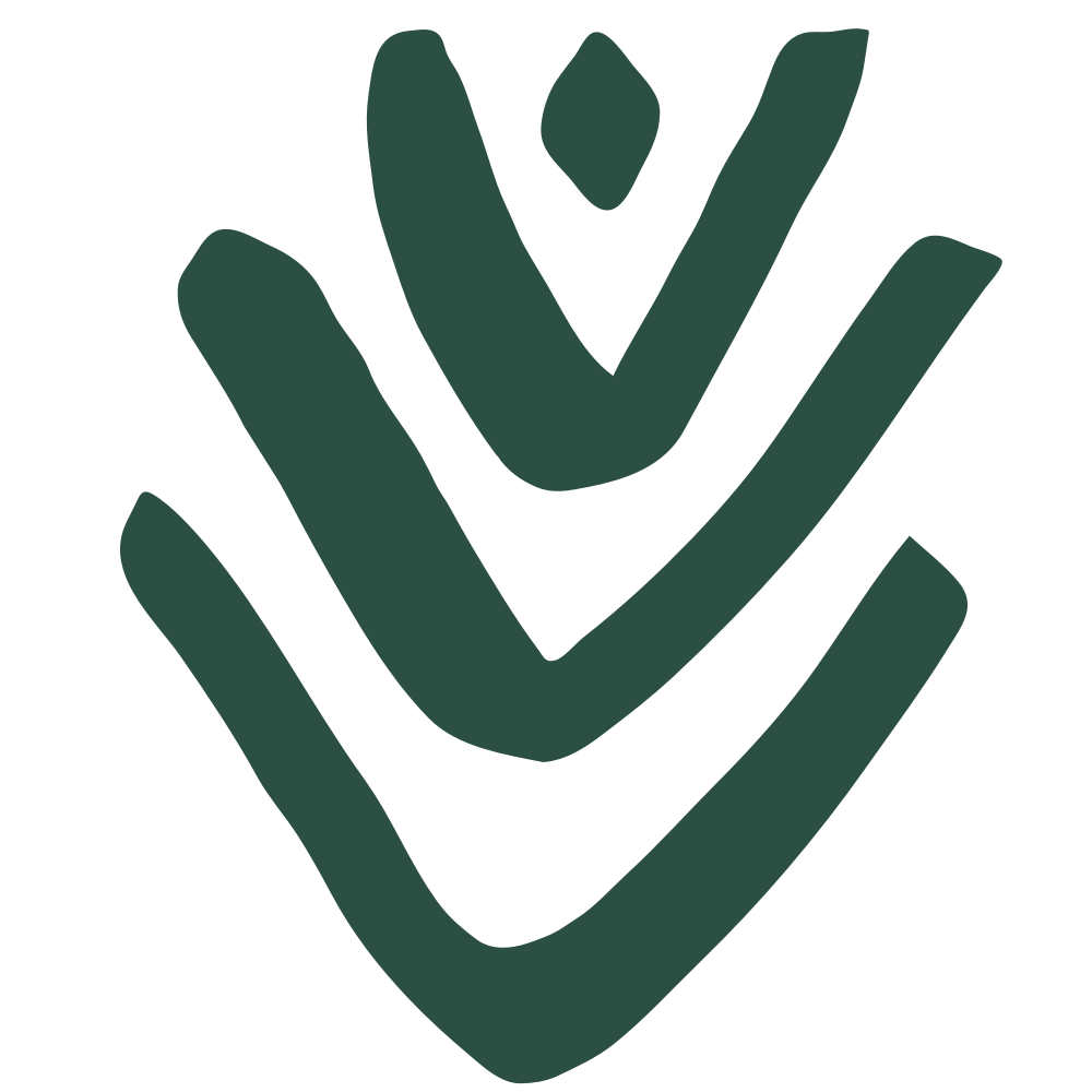 Ein abstraktes, stilisiertes Symbol eines Häkchens in dunkler Grüntonfarbe.
