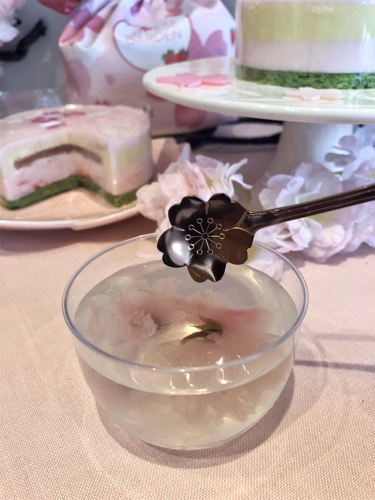 Sakura season at Cheese Garden