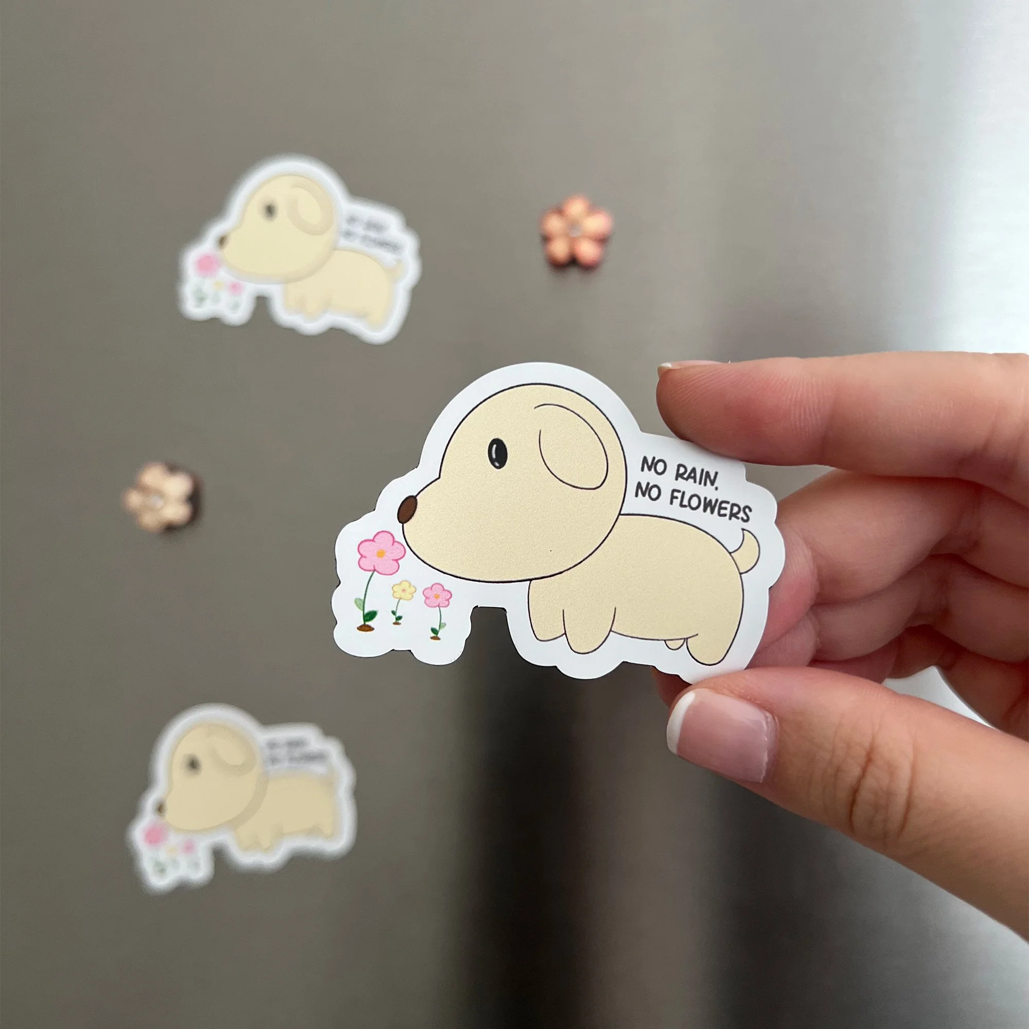 puppy no rain no flowers.jpg