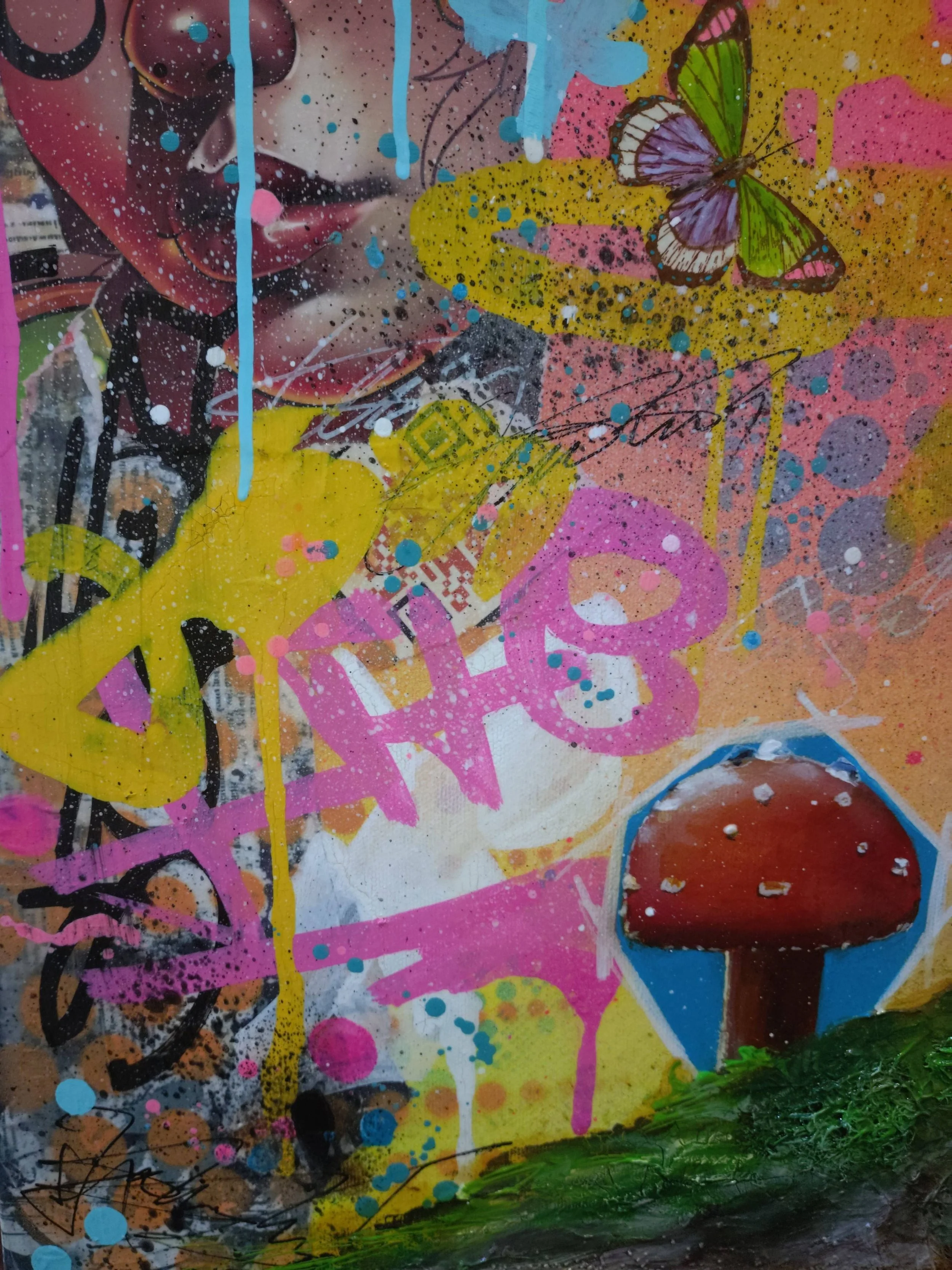 Mushroom vision6.jpg