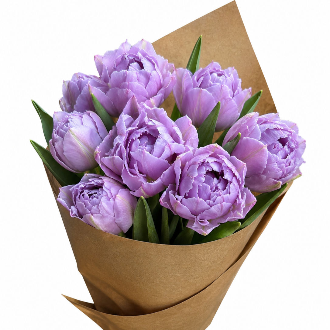 BD4EAB16-5EAA-4197-BFBE-5BF8EB4EA46C.png