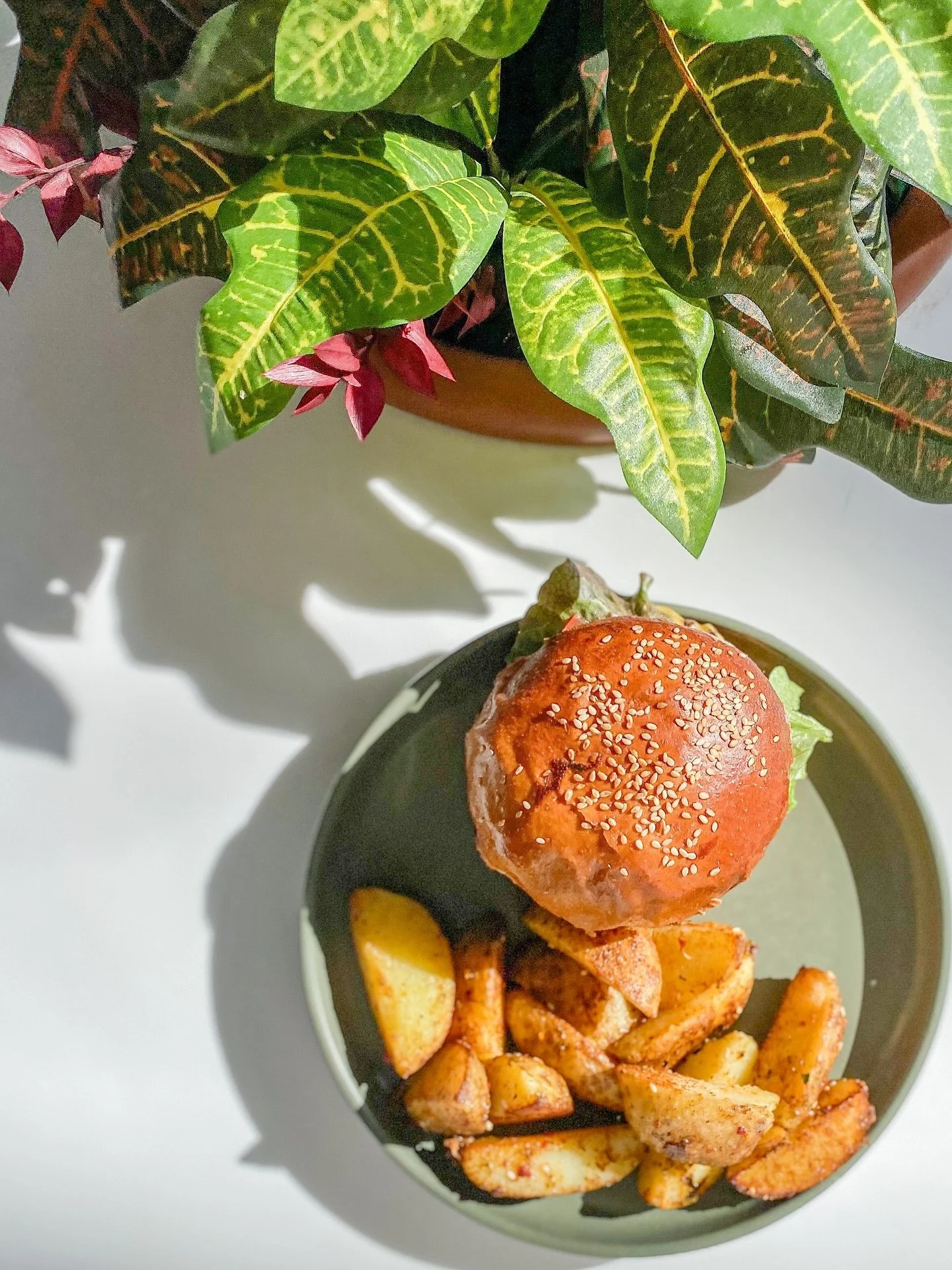 🍔 Notre burger maison sous les projecteurs du soleil ☀️
Un pain brioch&eacute; moelleux, un steak juteux, du cheddar fondant, de la laitue croquante, une sauce maison&hellip; accompagn&eacute; de nos potatoes croustillantes aux &eacute;pices 🍟

Par