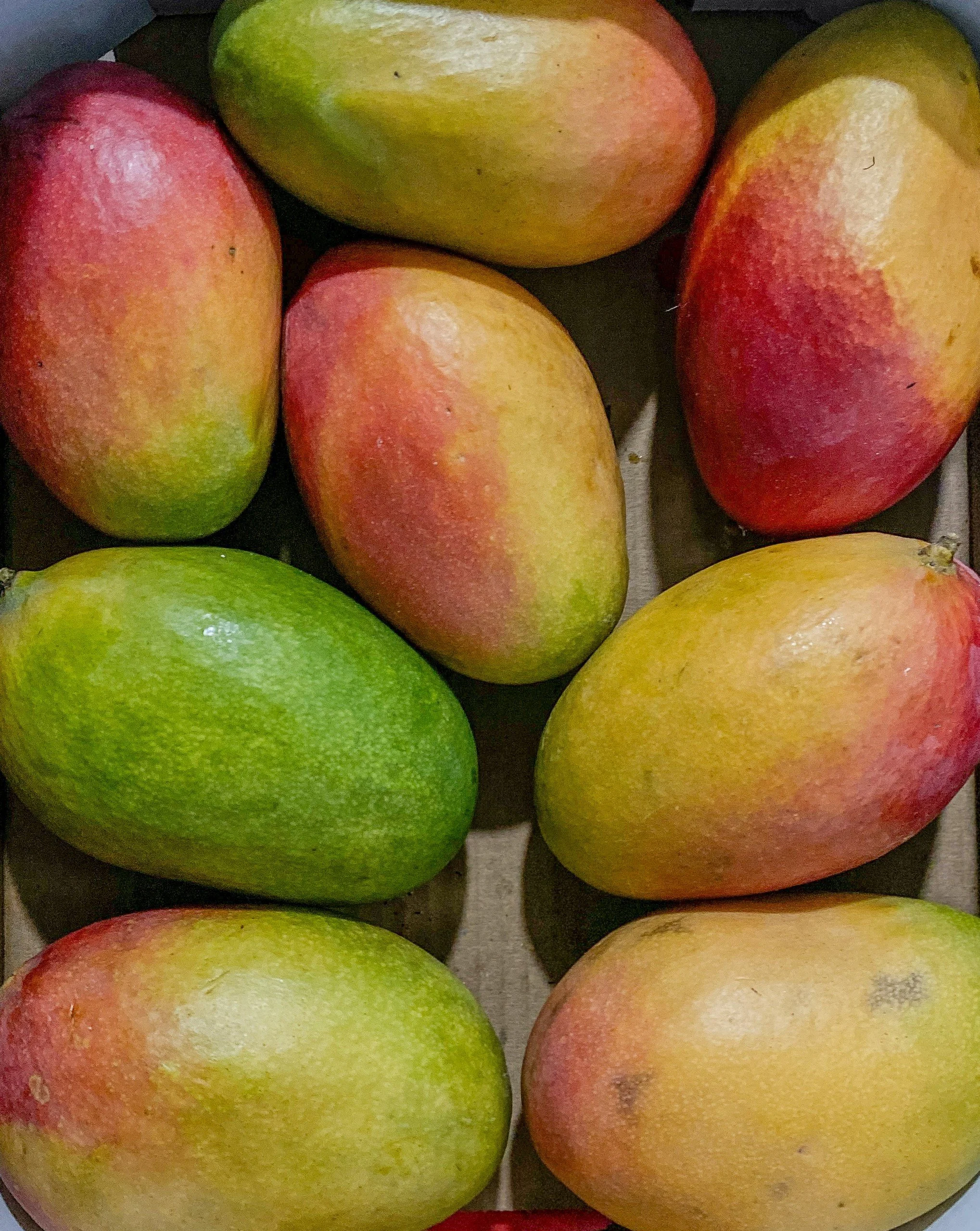 A group of ripe mangoes, with some showing a mix of green, yellow, and red colors.