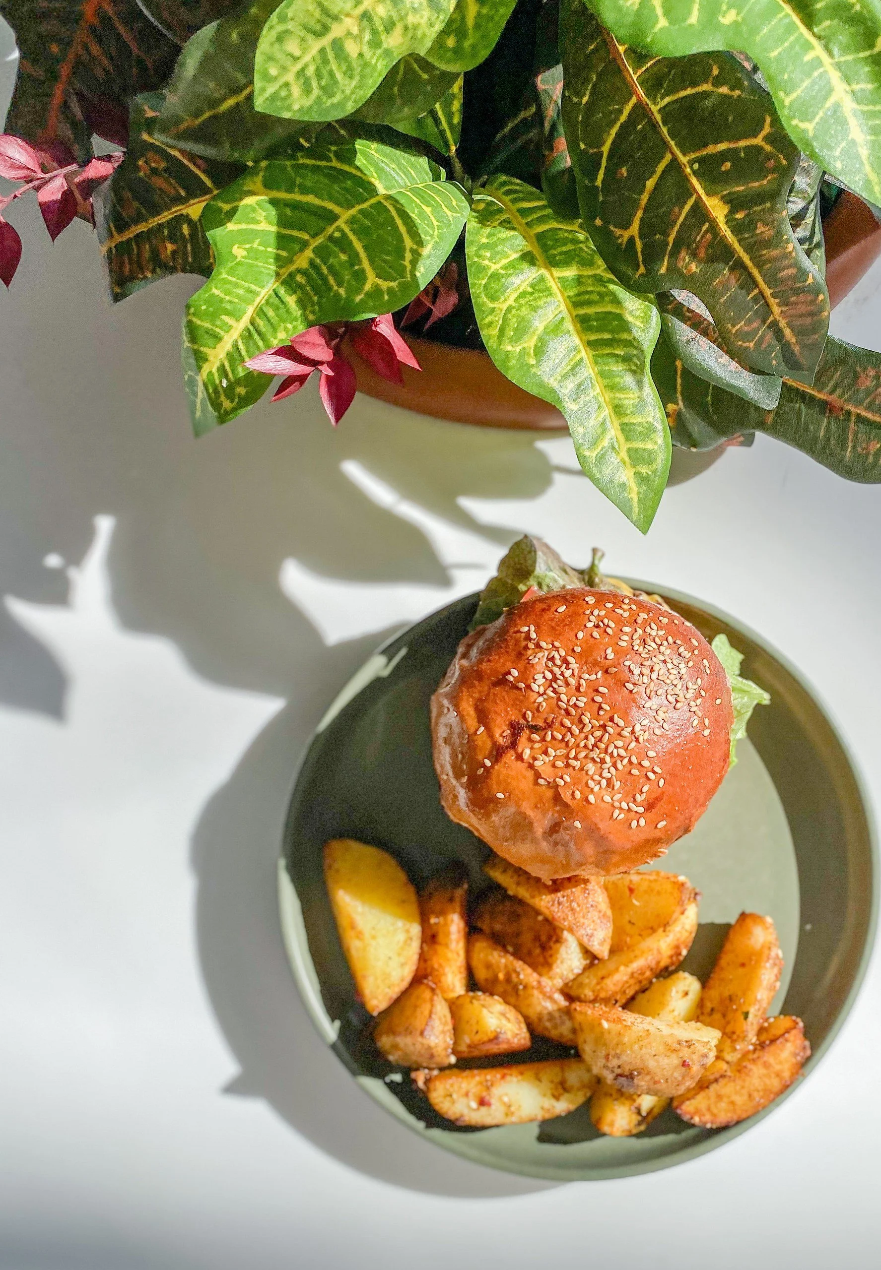 Plate with a burger topped with sesame seeds and potato wedges, next to a potted indoor plant with green and pink leaves.