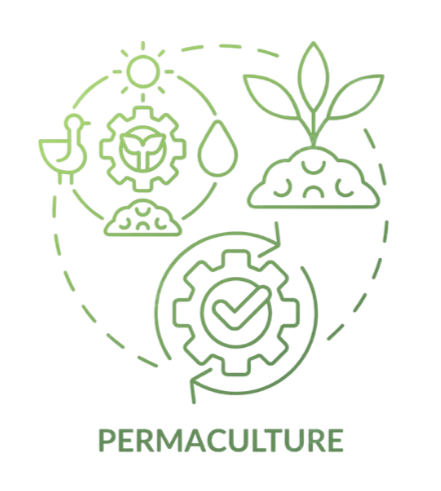 Line drawing of permaculture concepts including a plant growing from soil, water drop, sun, a gear with a check mark, and a chicken, connected by dashed lines with the word 'Permaculture' at the bottom.